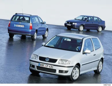 Polo Variant
